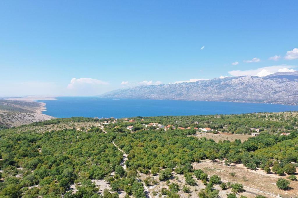 Apartments Slivnica Holiday מראה חיצוני תמונה